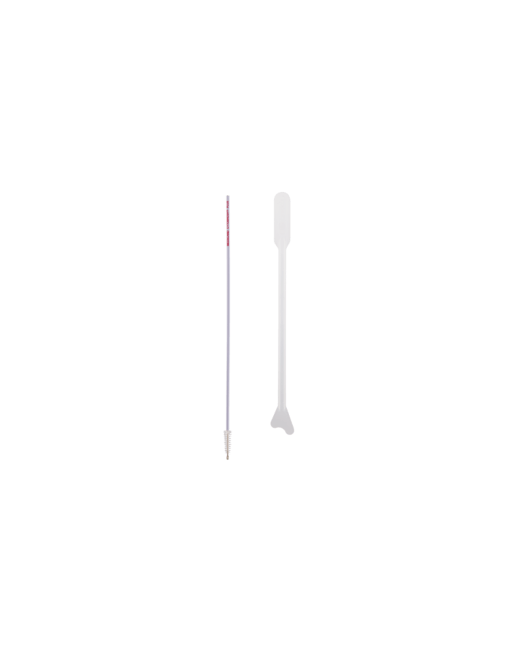 Cytobrush® Plus GT / Pap Perfect®