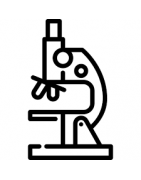 Laboratoire