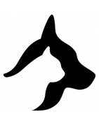 Tierarzt